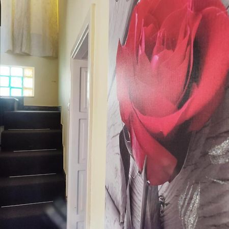 Casa De Sus Villa Braşov Dış mekan fotoğraf